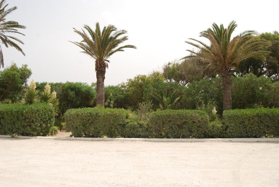 Hotel El Andalous Soliman Buitenkant foto