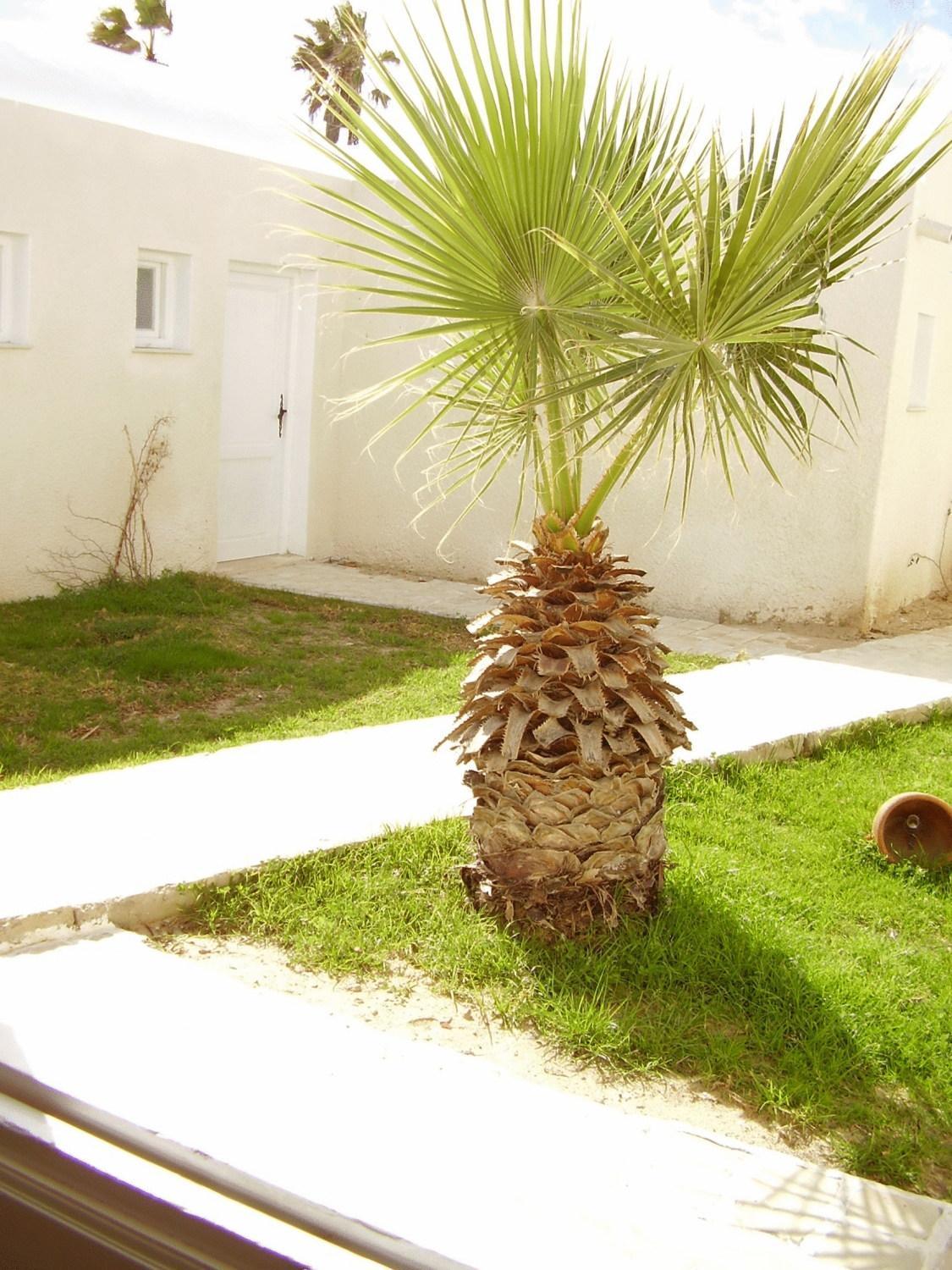 Hotel El Andalous Soliman Buitenkant foto